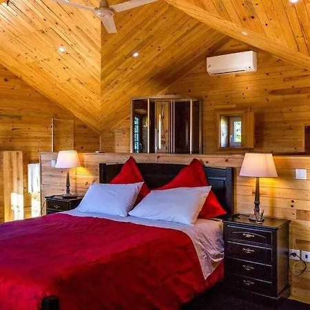 Εξοχικό σπίτι A Casa Do Tio Tenente - Casa Toda