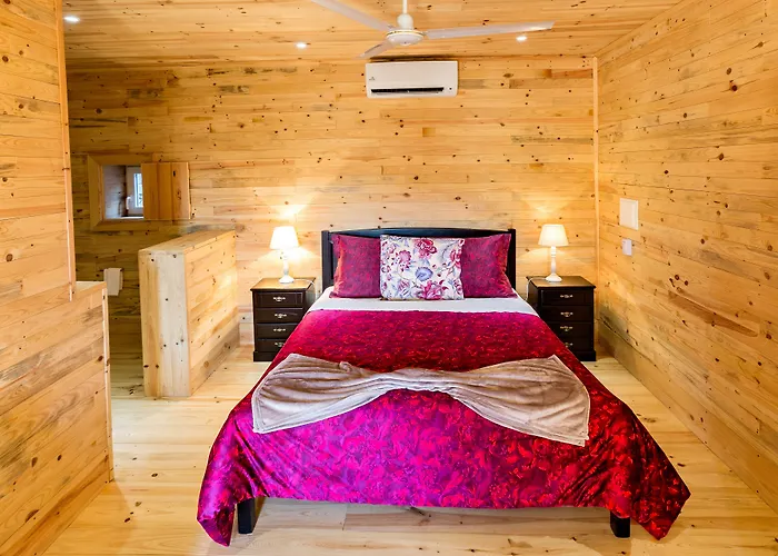 A Casa Do Tio Tenente - Casa Toda * Ermida (Castelo Branco)